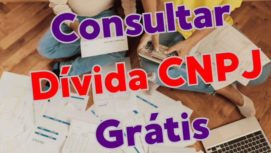 consultar dívida cnpj grátis